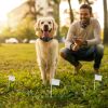 Electric Dog Fence System Pet Tone Shock Boundary Containment Water Resistant Collar Receiver For Small Medium Large Dog